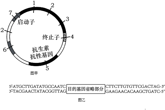 菁優(yōu)網(wǎng)