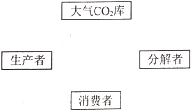 菁優(yōu)網