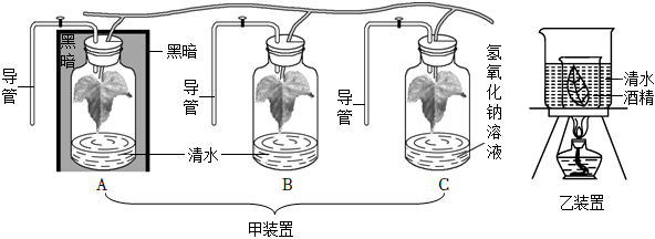 菁優(yōu)網(wǎng)