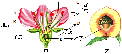 菁優(yōu)網(wǎng)