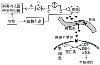 菁優(yōu)網