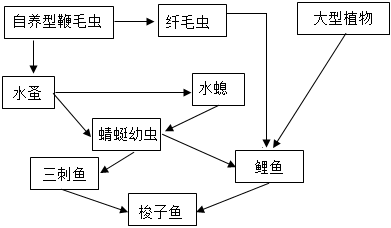 菁優(yōu)網(wǎng)