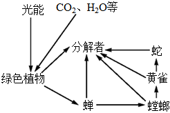 菁優(yōu)網(wǎng)