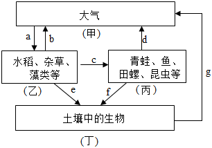 菁優(yōu)網(wǎng)