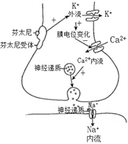 菁優(yōu)網(wǎng)