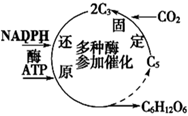 菁優(yōu)網(wǎng)