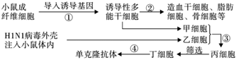 菁優(yōu)網(wǎng)