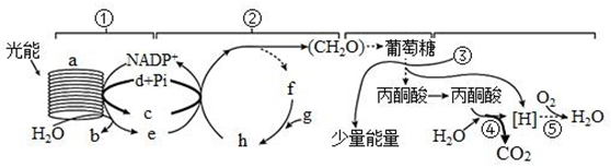 菁優(yōu)網(wǎng)