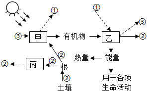 菁優(yōu)網(wǎng)