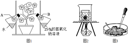 菁優(yōu)網(wǎng)