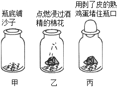 菁優(yōu)網(wǎng)