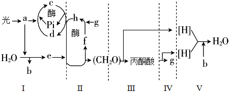 菁優(yōu)網(wǎng)