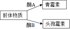 菁優(yōu)網(wǎng)