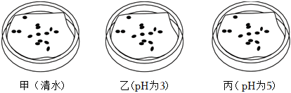 菁優(yōu)網