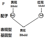 菁優(yōu)網