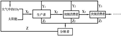 菁優(yōu)網