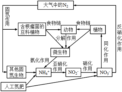 菁優(yōu)網(wǎng)