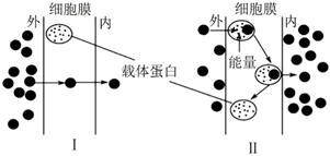 菁優(yōu)網(wǎng)