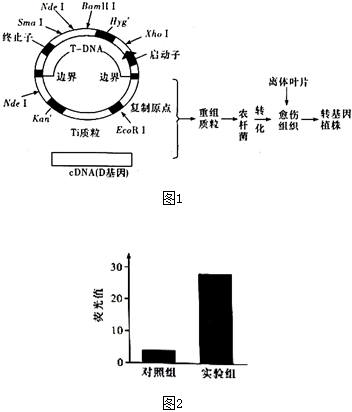 菁優(yōu)網