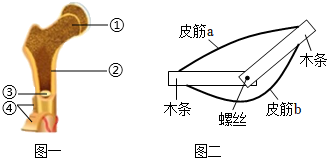 菁優(yōu)網