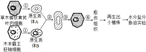 菁優(yōu)網