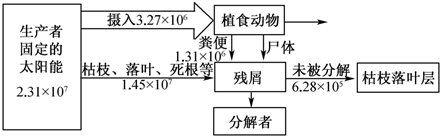 菁優(yōu)網(wǎng)