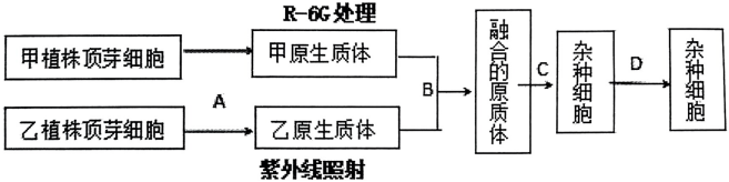 菁優(yōu)網