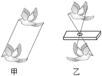 菁優(yōu)網(wǎng)