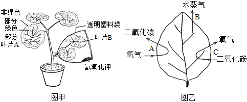 菁優(yōu)網(wǎng)