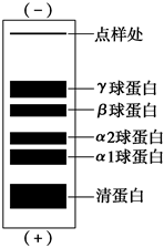 菁優(yōu)網