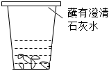 菁優(yōu)網(wǎng)