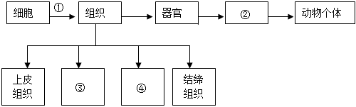 菁優(yōu)網