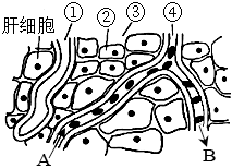 菁優(yōu)網