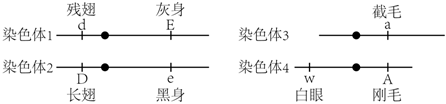 菁優(yōu)網