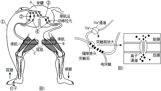 菁優(yōu)網(wǎng)