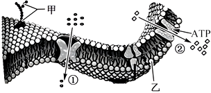 菁優(yōu)網(wǎng)