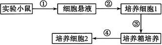 菁優(yōu)網