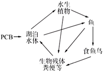 菁優(yōu)網(wǎng)