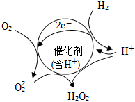 菁優(yōu)網