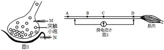 菁優(yōu)網(wǎng)