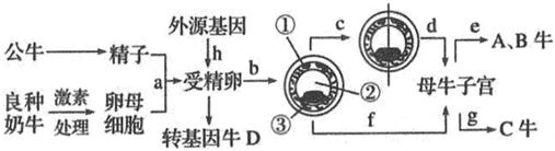 菁優(yōu)網(wǎng)