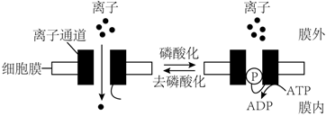 菁優(yōu)網(wǎng)