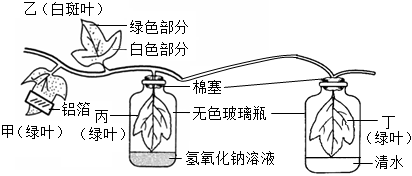 菁優(yōu)網(wǎng)