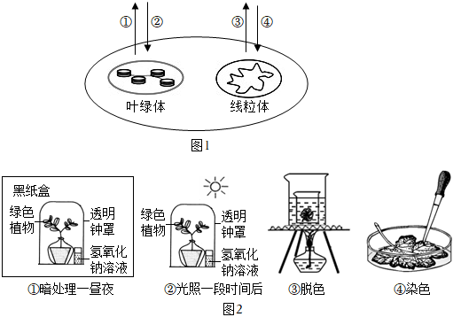 菁優(yōu)網(wǎng)