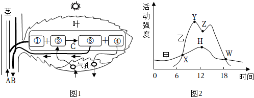 菁優(yōu)網(wǎng)