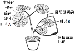 菁優(yōu)網(wǎng)