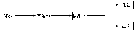 菁優(yōu)網