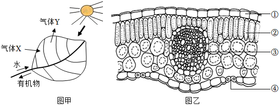 菁優(yōu)網(wǎng)