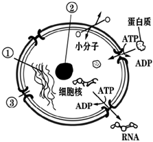 菁優(yōu)網(wǎng)