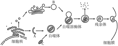 菁優(yōu)網(wǎng)